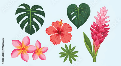 Tropical Flowers and Leaves Collection.