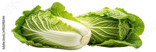 Wallpaper Mural Fresh chinese cabbage or napa cabbage cut in half on white isolated on transparent background Torontodigital.ca