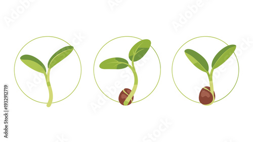 Set of three icons showing different stages of a green seedling growing from a brown seed within circular frames for gardening and growth concepts.