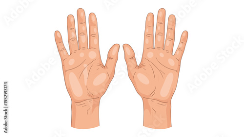 Realistic illustration of two open human palms with detailed lines and skin texture against a plain white background for palmistry and health.