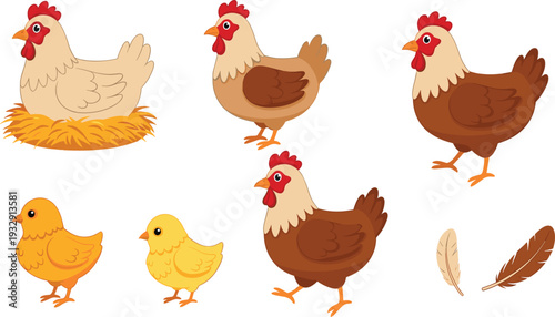 Chicken Illustration Set with Brown Hens in Nest, Cute Yellow Chicks, Farm Birds, and Decorative Feathers Isolated Vector Design.