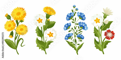 A collection of brightly colored wildflowers arranged in a botanical illustration
