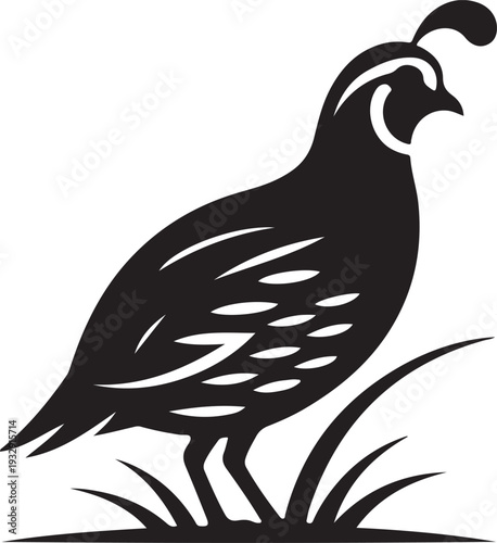 Quail Silhouette with Grass Vector Illustration