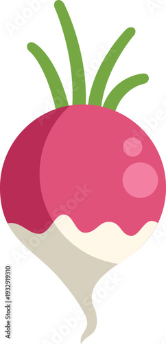 Radish displaying flat cartoon illustration style on white background
