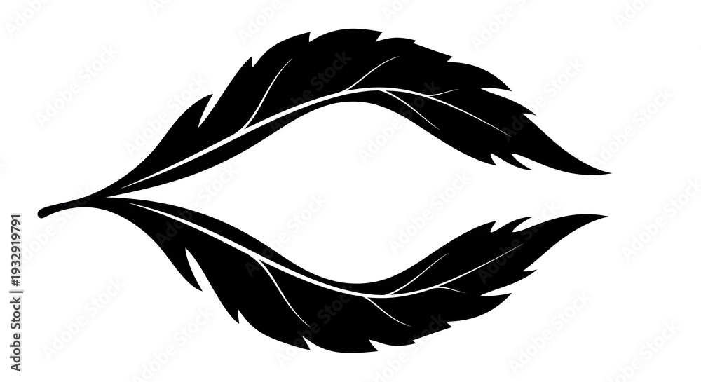 Obraz premium Elegant symmetrical black feather design with a delicate curvature, perfect for decorative or symbolic use