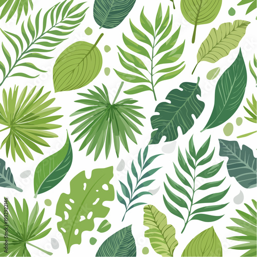 Various green leaves on white background tropical leaves palm leaves leaf shapes foliage