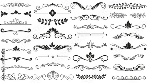 Large set of various black and white floral and ornamental line dividers and borders for graphic design projects.