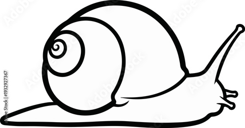 Black and white outline of a snail with a spiral shell and antennae