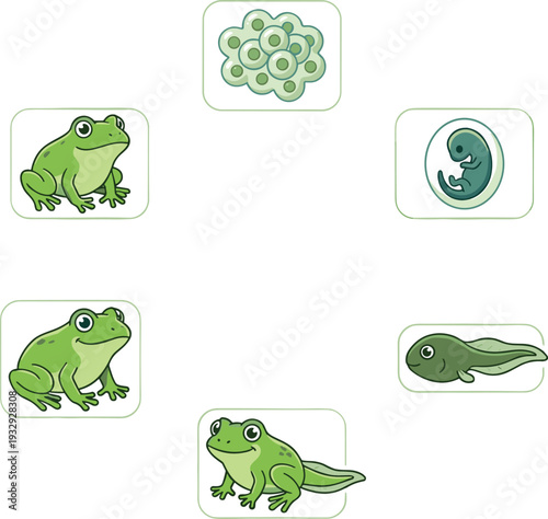 Flat vector illustration, of various bicycle types, including mountain, road, city, tandem, folding, bmx, electric, cargo, and recumbent bikes, isolated.