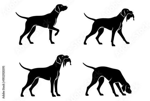 Black dog silhouettes in various actions on white background, vector illustration