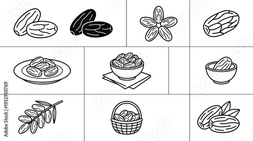 Almond Nut Collection Whole Roasted Shelled in Bowl Basket and Plate Line Art Vector Icon Set