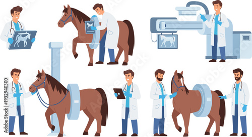 Equine Veterinary Examination Set with Horse X Ray, Ultrasound Scan and Medical Checkup Procedures in Flat Vector Illustration