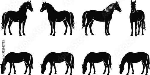 Horse Silhouette Collection Farm Animal Black Stallion and Mare Standing Grazing Vector Illustration Set