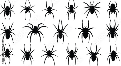 Black Spider Silhouette Collection Set Minimal Halloween Insect Icons Vector Illustration Isolated on White