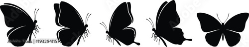 Butterfly Silhouette Collection Set Black Minimal Insect Icons Vector Illustration Isolated on White Background