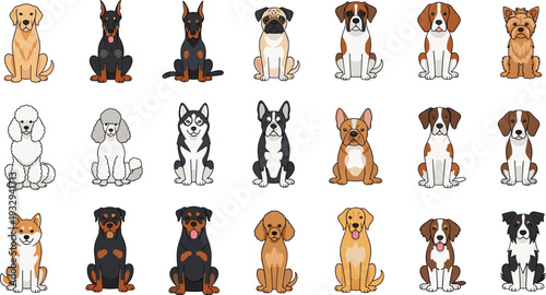 Flat Cartoon Dog Breeds Collection Set of Twenty Cute Minimalist Pet Characters Isolated on White Background