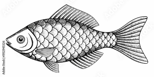 Detailed sketch of a silver fish with textured scales and fins