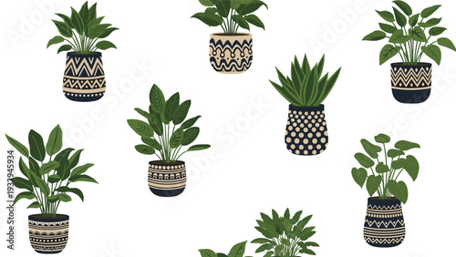 Collection of diverse houseplants including leafy greens in stylish bohemian patterned pots for indoor home decoration.