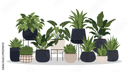 Diverse collection of indoor houseplants is arranged in various heights and styles of dark blue and grey patterned pots.