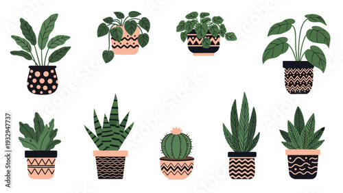 Collection of diverse indoor potted plants including succulents, ferns, and leafy greens is arranged in stylish containers with artistic designs.