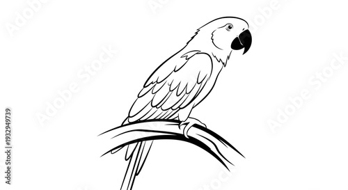 parrot