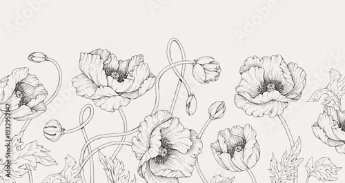 Poppy flowers background. Detailed hand drawn ink illustration for invitation, line tattoo art or save the date