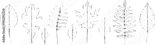 Diverse Hand-Drawn Outline Leaves Vector Collection - Natural Botanical Elements for Autumn, Spring, and Organic Designs