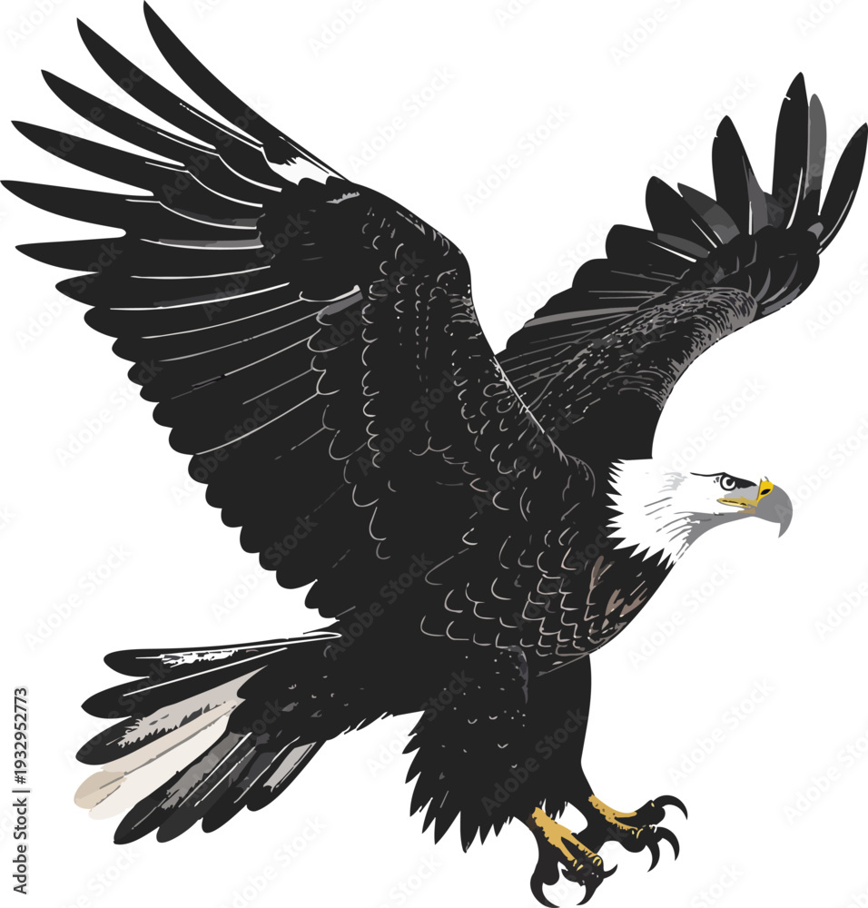 Fototapeta premium Eagle Silhouette Vector Illustration Black and White