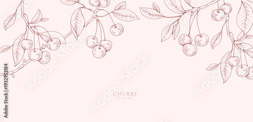 Cherry fruit. Summer background with berry and brunch. Detailed hand drawn ink floral illustration for invitation, wallpaper art or save the date