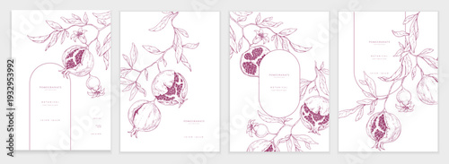 Set of card with pomegranate brunch and leaves. Detailed hand drawn ink illustration for template layout design, brochure or cover for food card