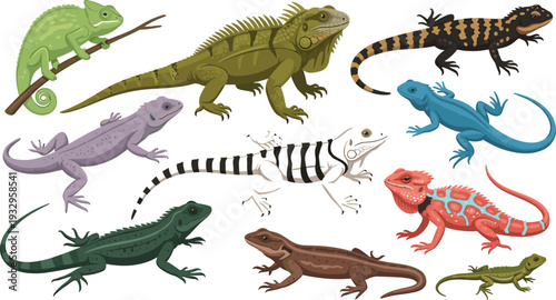 Lizard and gecko set – colorful cartoon reptiles in different poses illustration