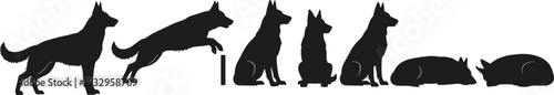 Dog silhouette collection, German Shepherd poses, vector illustration, canine posture icons, pet training design, animal behavior resource, black outline art