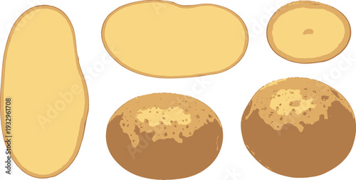 Potatoes on White Background