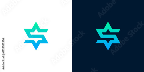 Abstract Star Shape Logo Design with Gradient Colors, Modern Geometric Symbol