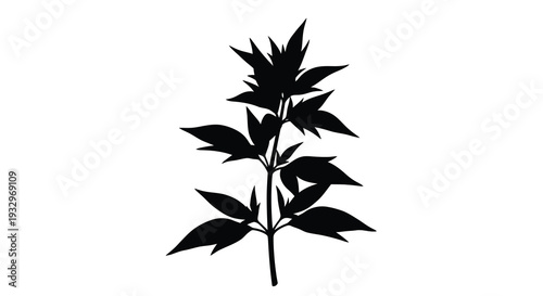 A striking black silhouette of a leafy plant stem with multiple branches and verdant foliage silhouette high quality professional