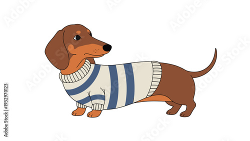 Adorable brown dachshund dog wearing a stylish blue and white striped sweater, showcasing a cute and cozy pet fashion statement.