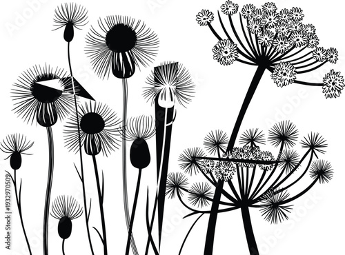 Desert landscape silhouettes with rocky formations, cacti, barren trees, and agave plants for wilderness, nature, and design themes