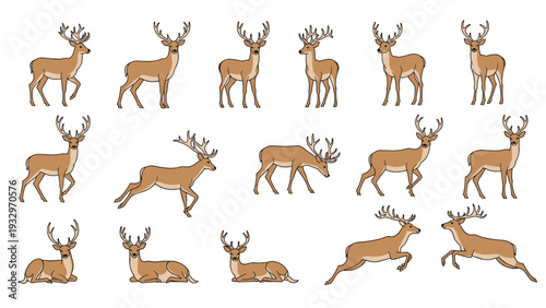 Extensive collection of detailed deer illustrations in various natural poses, including standing, walking, running, and resting, perfect for wildlife designs.