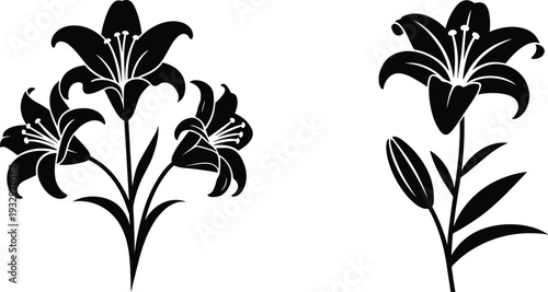 "Elegant black and white lily floral illustration with detailed petals, botanical line art design, perfect for tattoo or decorative artwork