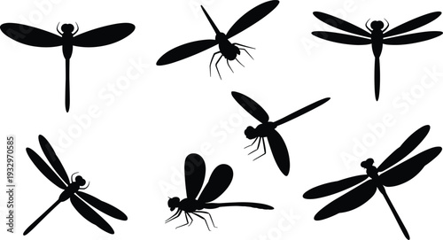 Dragonfly silhouettes in various positions with detailed wings, natural insect forms, and stylized designs for art and decoration