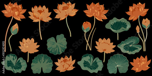 A collection of stylized lotus flowers leaves and buds in warm tones