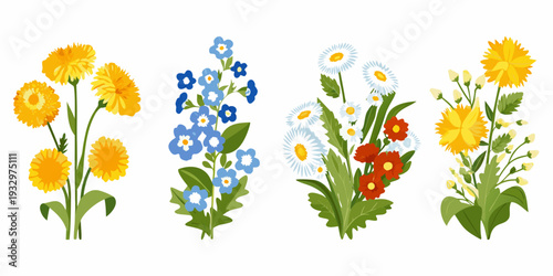 A colorful illustration of various wildflowers arranged in bouquets