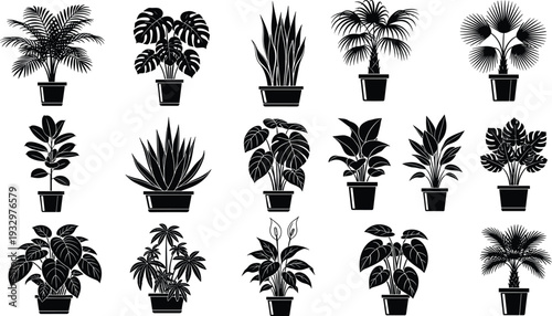 Potted plant silhouettes, indoor greenery vector, decorative foliage design, houseplant outline icons, botanical shapes illustration, tropical leaves pattern, CAD drawing flat vector illustration