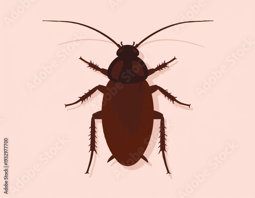 Detailed flat vector illustration of a cockroach