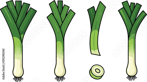 Fresh Leek and Green Onion Vector Illustration Set with Whole Scallions Sliced Spring Onion Pieces and Organic Vegetable Garden Root Elements