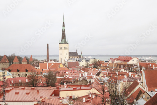 Aerial view of the striking St. Olaf's Church spire piercing the skyline above a sea of red-tiled roofs, Tallinn, Harju County, Estonia.