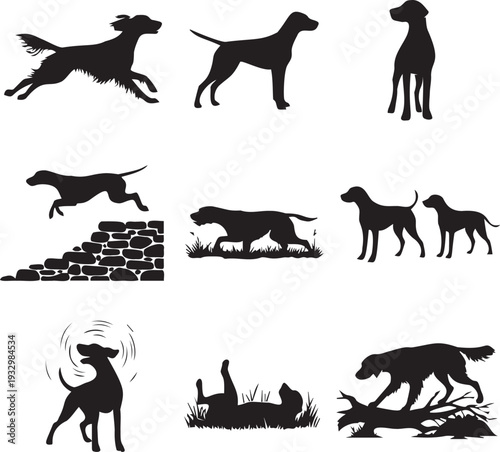 Hunting dogs vector silhouettes set, various breeds and poses, outdoor activity and training concepts