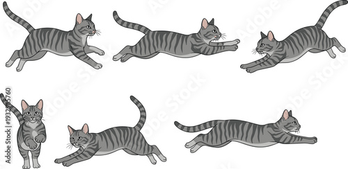 Gray tabby cat action poses collection, playful domestic feline running and jumping, realistic vector illustration isolated on white background