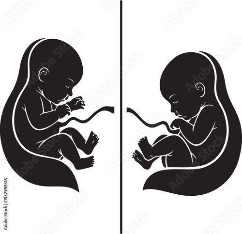 Black silhouette of two human fetuses vector illustration, unborn babies in womb, prenatal development