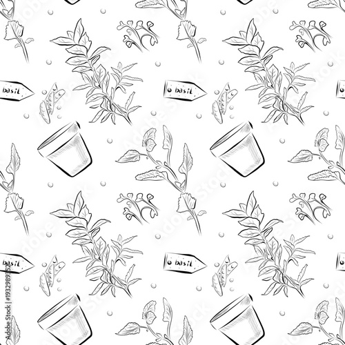 A seamless pattern of line drawings a pot with sprouts, a sign with the inscription BASIL, and plants